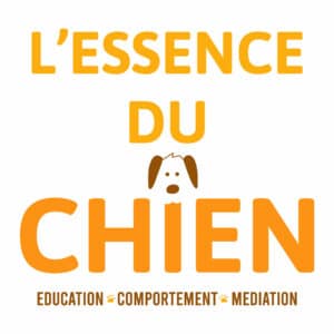 L'essence du chien - Education - Comportement - Médiation
