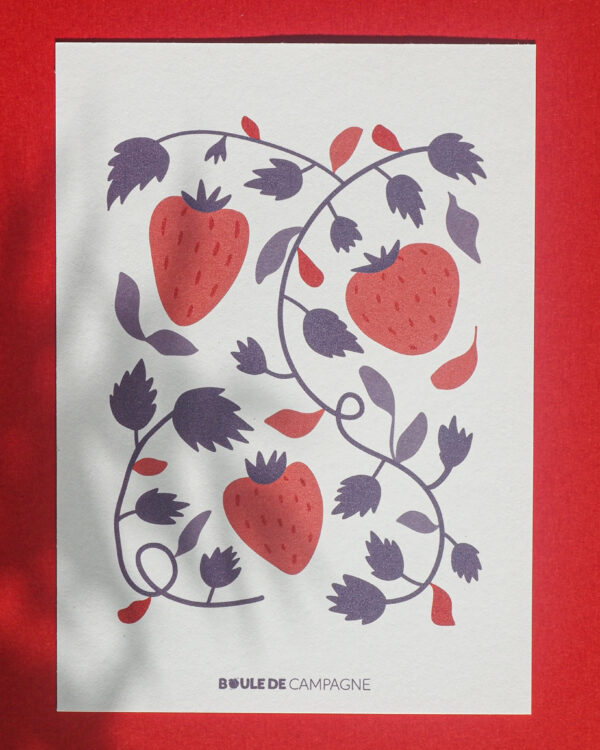 carte postale fraises