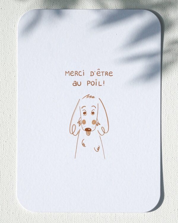 carte postale cocker chien merci d'être au poil