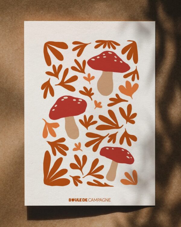 carte postale champignons