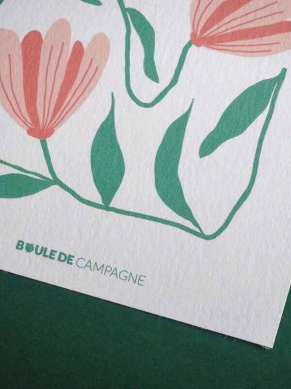 carte postale crocus