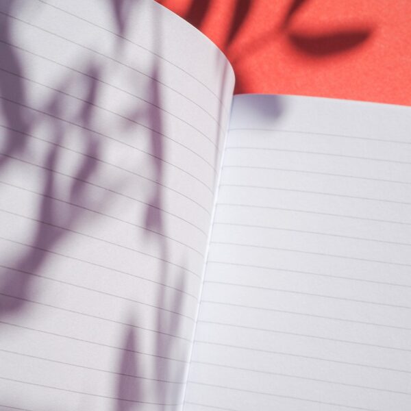 petit carnet made in france - page avec des lignes