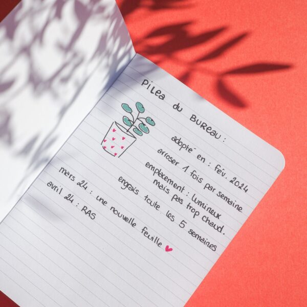 petit carnet made in france - page avec des lignes