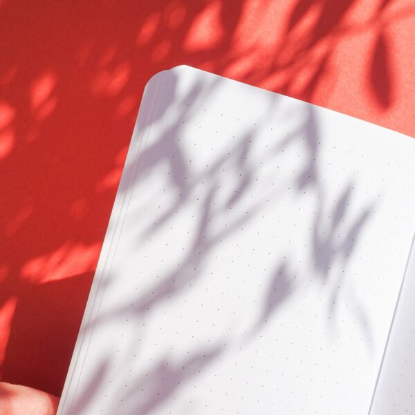 petit carnet made in france - page avec des points
