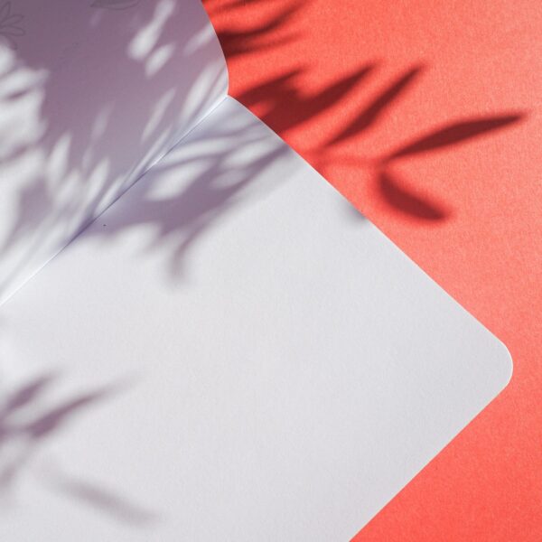 petit carnet made in france - pages blanches