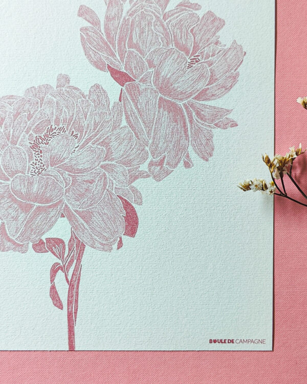 Affiche Pivoines – Image 3