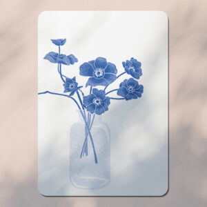Anémones - Carte Postale - Bleu