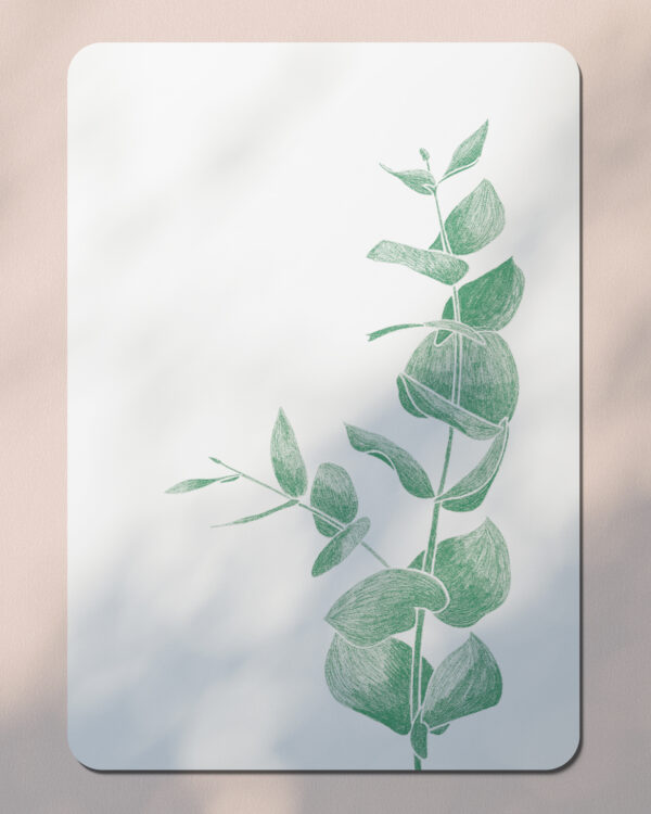 Eucalyptus - Carte Postale - Vert