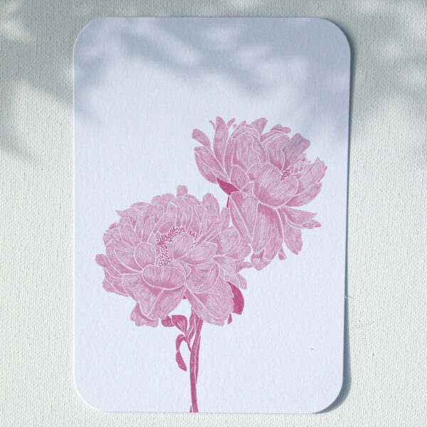 Pivoines - Carte Postale - Rose – Image 2