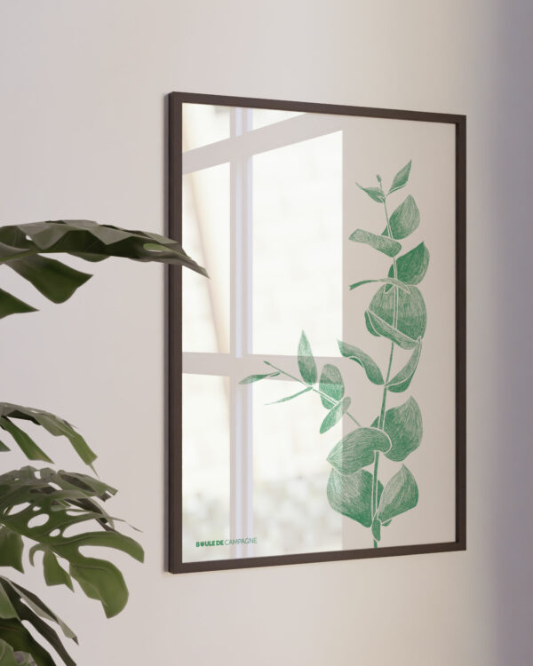 Affiche Eucalyptus – Image 2