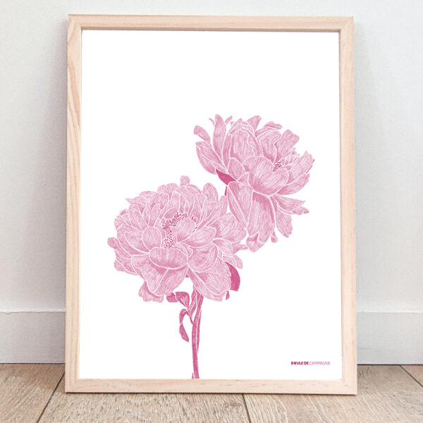 Affiche Pivoines