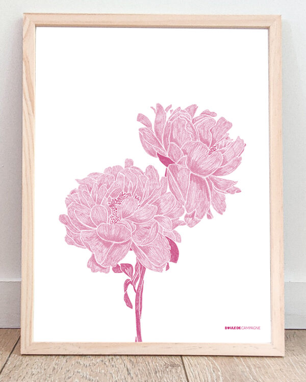 Affiche Pivoines