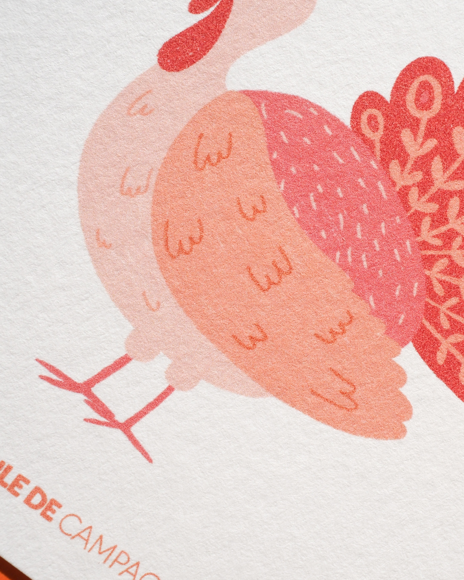 Carte postale "Je suis dinde de toi" – Image 2