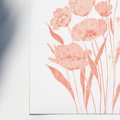 07-juillet-prairie3