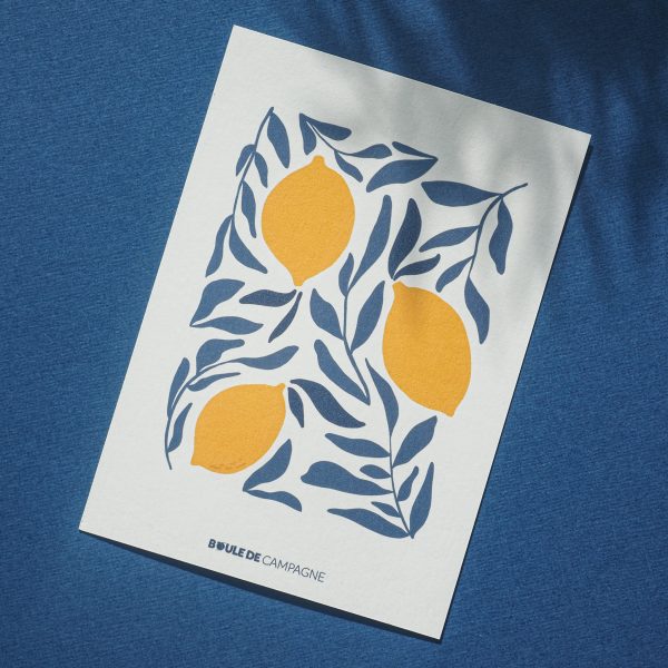 carte postale citrons