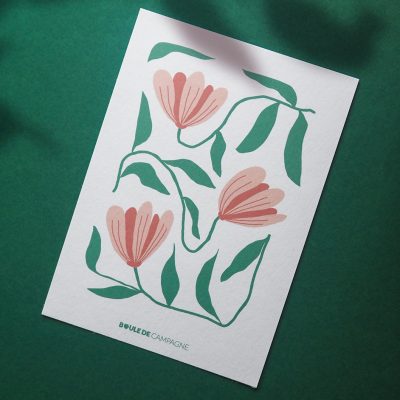 Crocus-Web