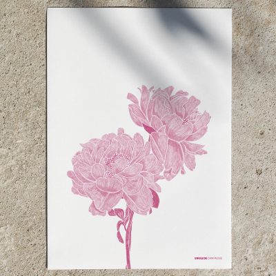 pivoines2